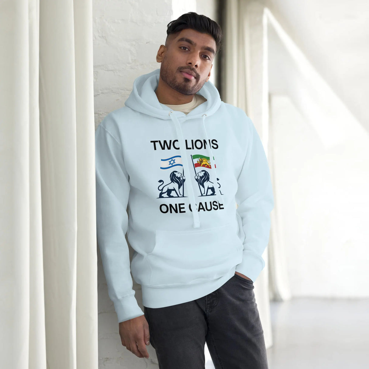 Two Lions One Cause - Iran and Israel - Unisex Hoodie The Israel Store
