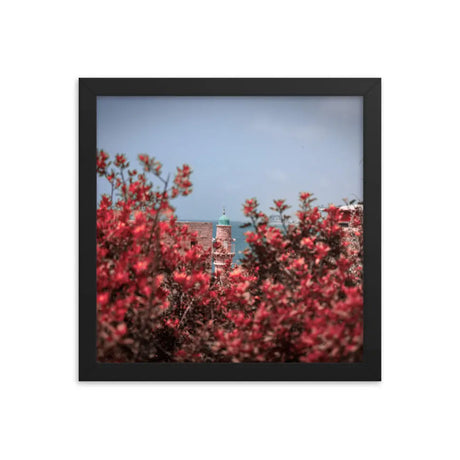 Spring Blossom in Jaffa - Framed Picture The Israel Store