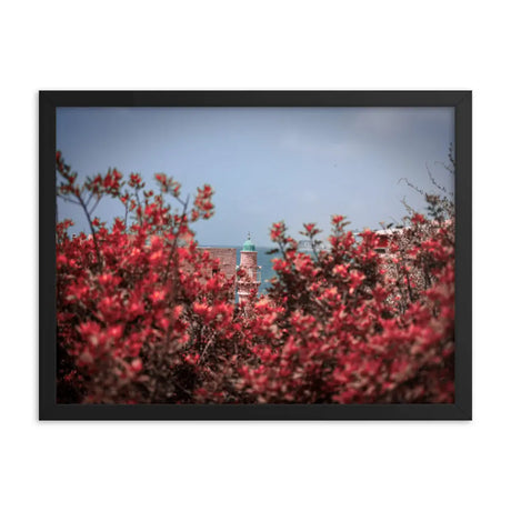 Spring Blossom in Jaffa - Framed Picture The Israel Store