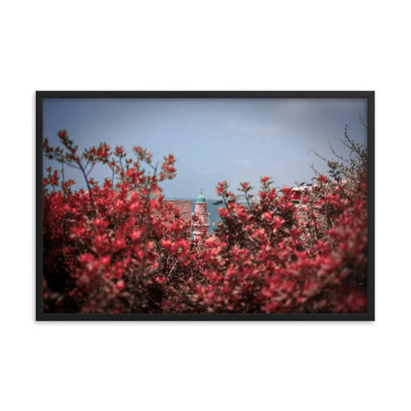 Spring Blossom in Jaffa - Framed Picture The Israel Store