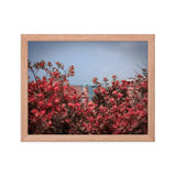 Spring Blossom in Jaffa - Framed Picture The Israel Store