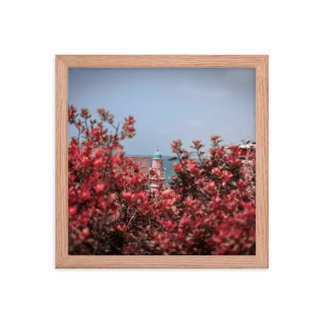 Spring Blossom in Jaffa - Framed Picture The Israel Store