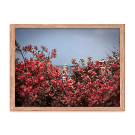 Spring Blossom in Jaffa - Framed Picture The Israel Store