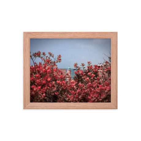 Spring Blossom in Jaffa - Framed Picture The Israel Store