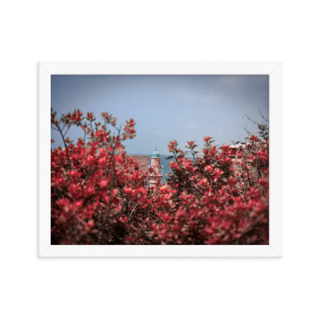 Spring Blossom in Jaffa - Framed Picture The Israel Store