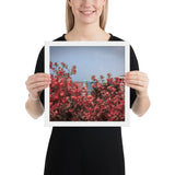 Spring Blossom in Jaffa - Framed Picture The Israel Store