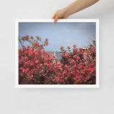 Spring Blossom in Jaffa - Framed Picture The Israel Store