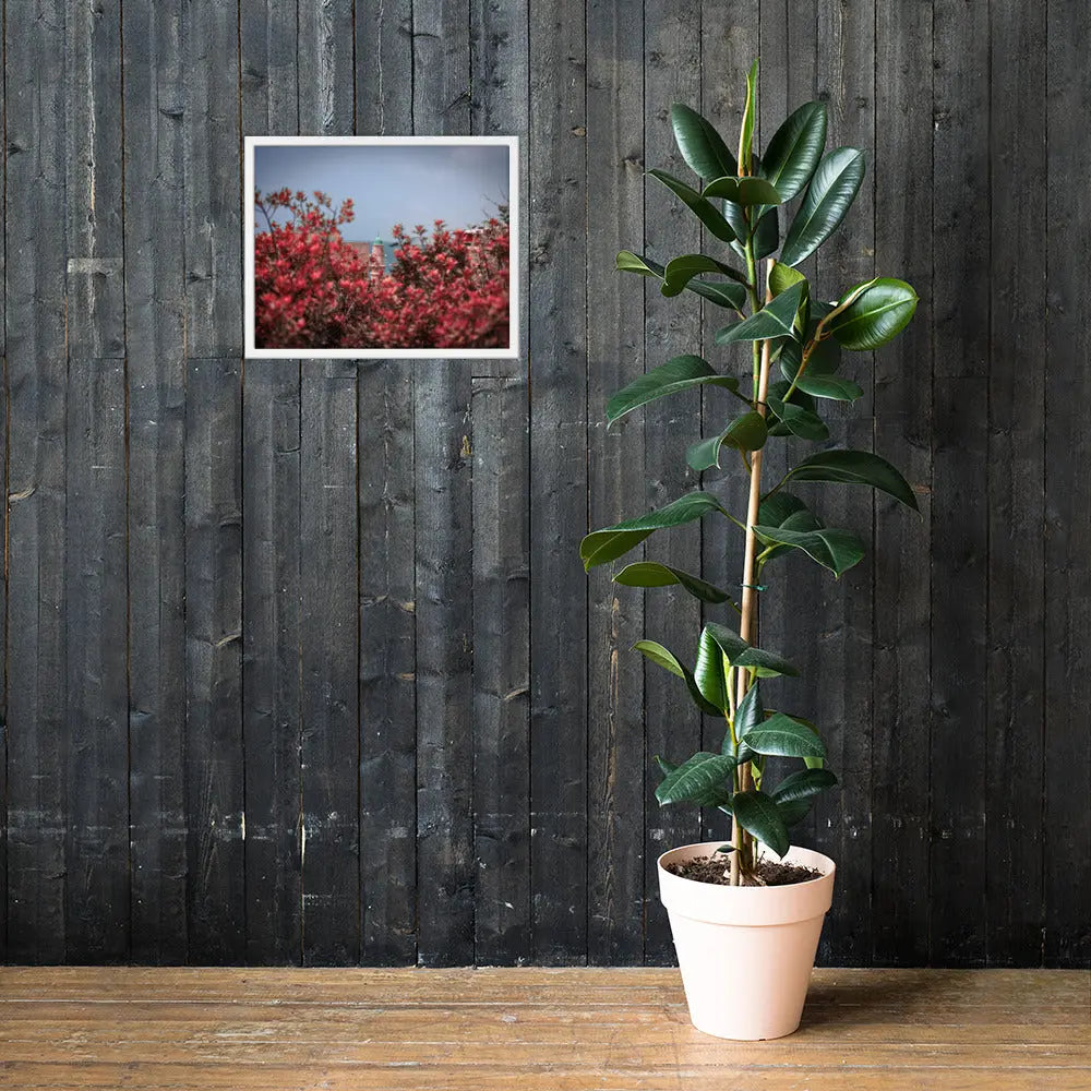 Spring Blossom in Jaffa - Framed Picture The Israel Store