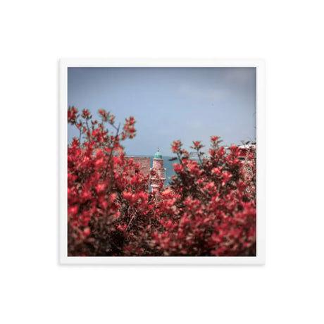 Spring Blossom in Jaffa - Framed Picture The Israel Store