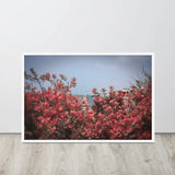 Spring Blossom in Jaffa - Framed Picture The Israel Store