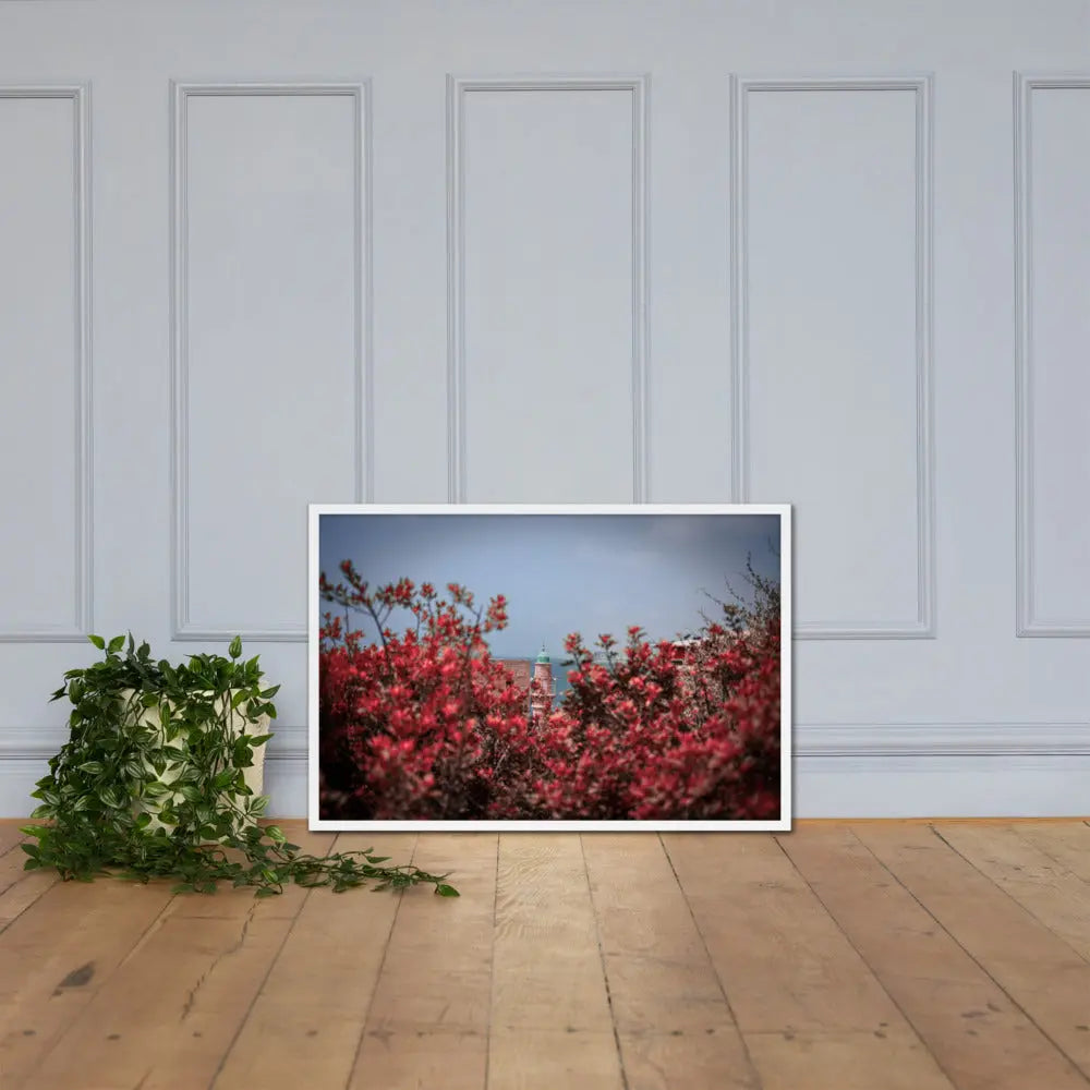 Spring Blossom in Jaffa - Framed Picture The Israel Store