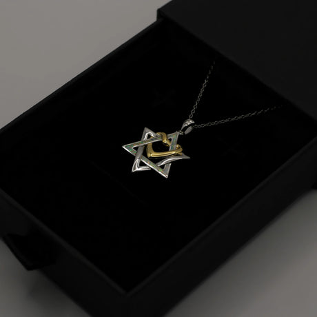 Sterling Silver Star of David & Heart Necklace The Israel Store