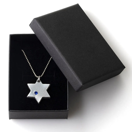 Iron Dome Star Necklace The Israel Store