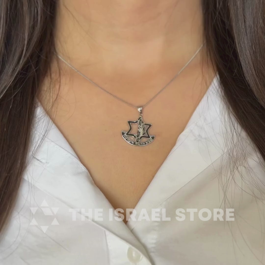 Sterling Silver IDF Symbol Necklace