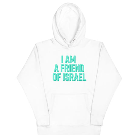 Friend Of Israel Unisex Hoodie - Blue Design The Israel Store